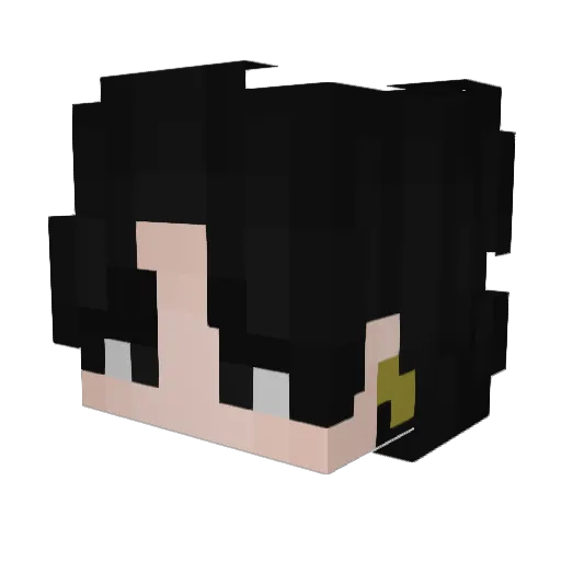 Ola_1234 Minecraft avatar head, 3D render