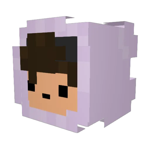 Olane235 Minecraft avatar head, 3D render