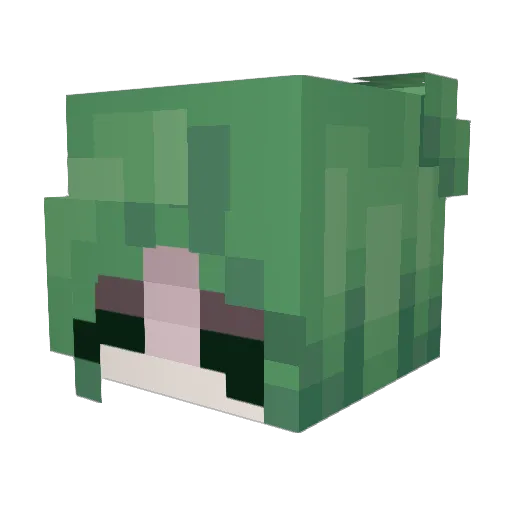 Olanri Minecraft avatar head, 3D render