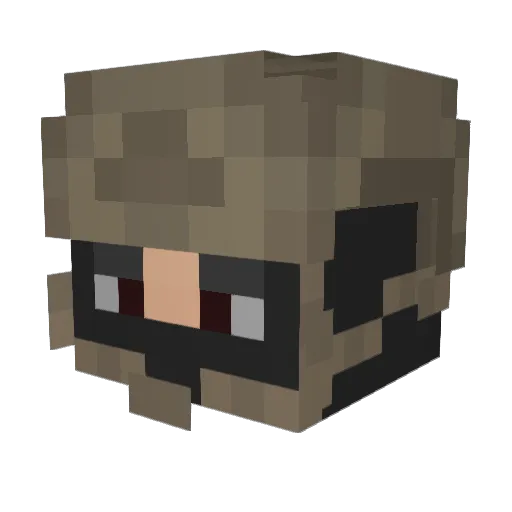 Olblaster Minecraft avatar head, 3D render