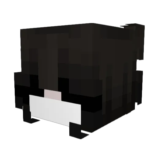 OlciaMom Minecraft avatar head, 3D render