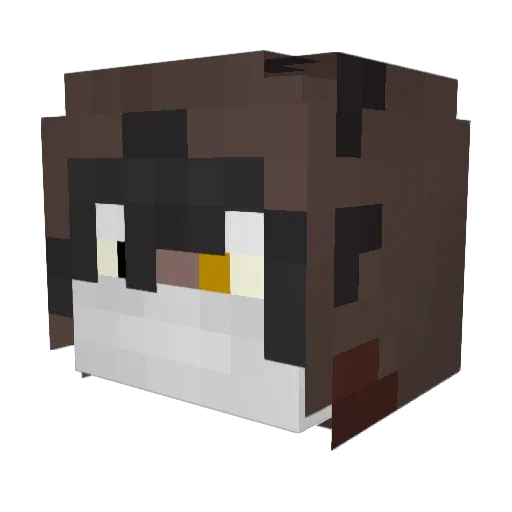 OldBee705 Minecraft avatar head, 3D render