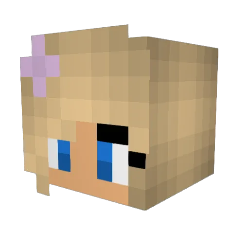OldMagconForever Minecraft avatar head, 3D render