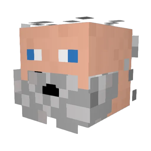 OldManTom_ Minecraft avatar head, 3D render