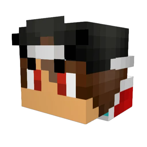 OldMate290 Minecraft avatar head, 3D render