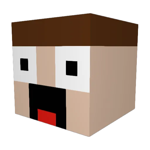OldSockDrawer Minecraft avatar head, 3D render