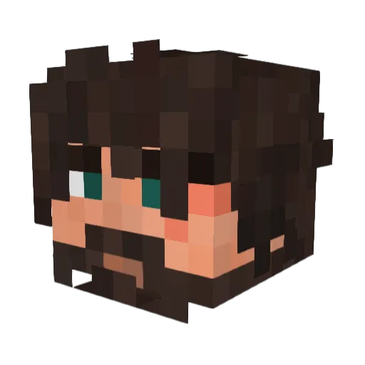OldTook Minecraft avatar head, 3D render