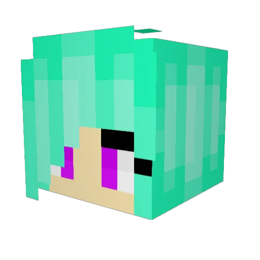 Old_Grandpop Minecraft avatar head, 3D render