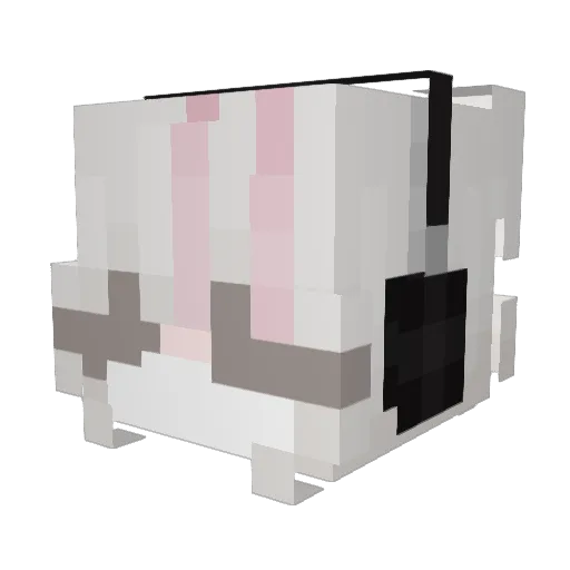 Old_Rice1201 Minecraft avatar head, 3D render