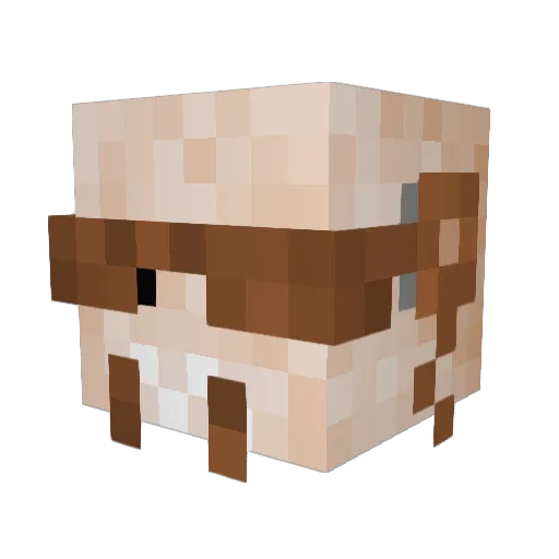 Old_School_64 Minecraft avatar head, 3D render