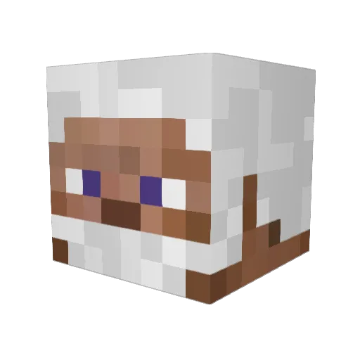 Old_Sock Minecraft avatar head, 3D render