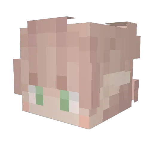Old_Took Minecraft avatar head, 3D render
