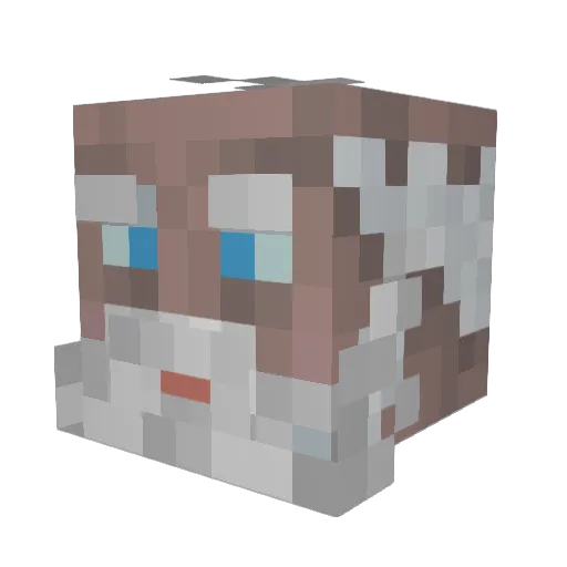 Old_Wrinkly Minecraft avatar head, 3D render