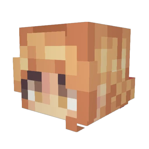 Oldicia Minecraft avatar head, 3D render