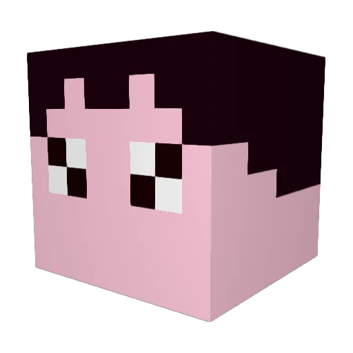 Oleczek1 Minecraft avatar head, 3D render