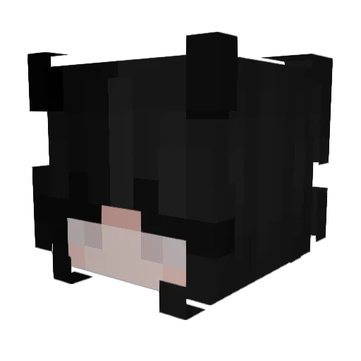 Oleeskin Minecraft avatar head, 3D render
