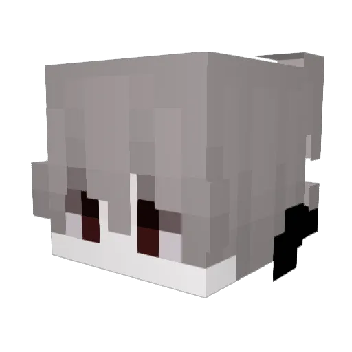 OlekBrzeczypalka Minecraft avatar head, 3D render