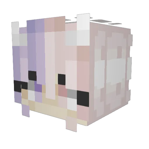 Olennemo Minecraft avatar head, 3D render