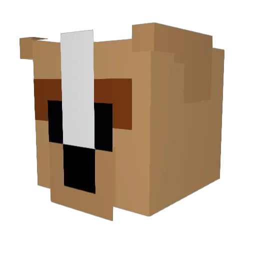 Oli20200 Minecraft avatar head, 3D render