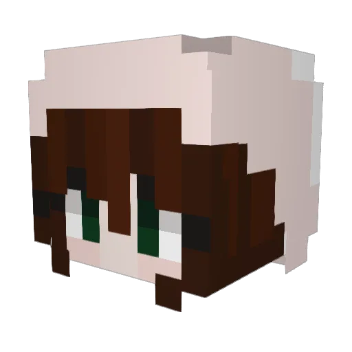 Oli8910 Minecraft avatar head, 3D render