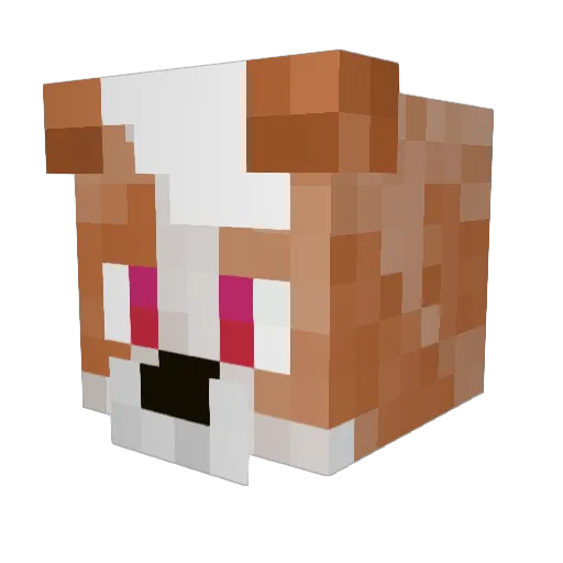 OliBorderCollie Minecraft avatar head, 3D render
