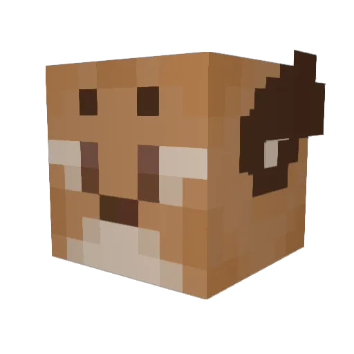 OliO Minecraft avatar head, 3D render