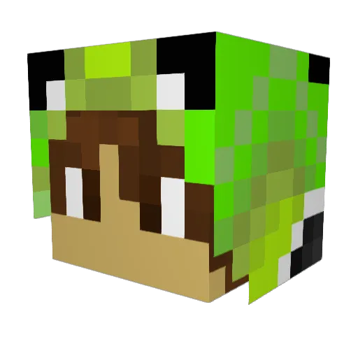 Oli_25_03 Minecraft avatar head, 3D render
