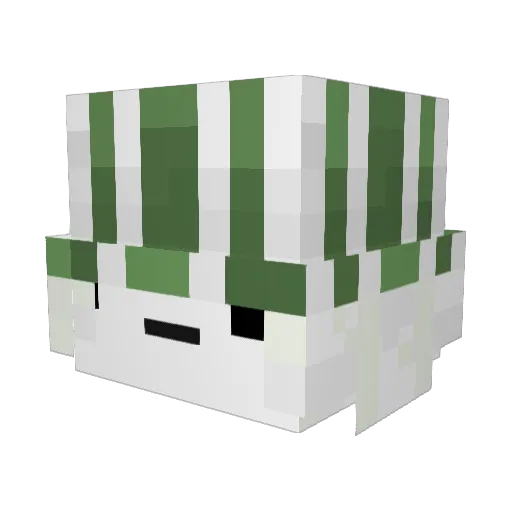 Oli_hello Minecraft avatar head, 3D render