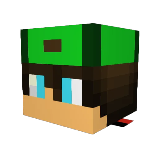Oliboli2013 Minecraft avatar head, 3D render