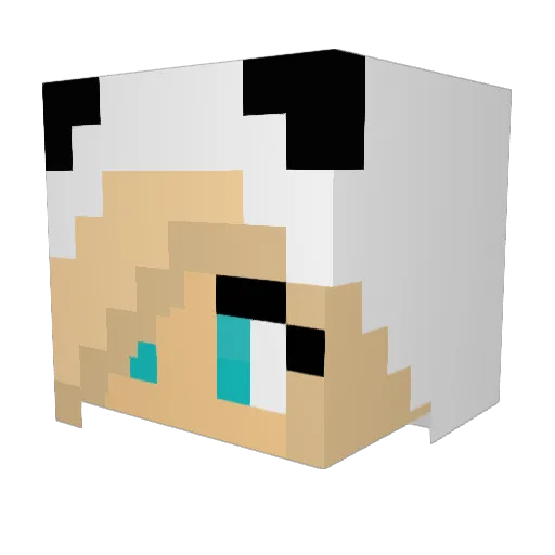 Olikow04 Minecraft avatar head, 3D render