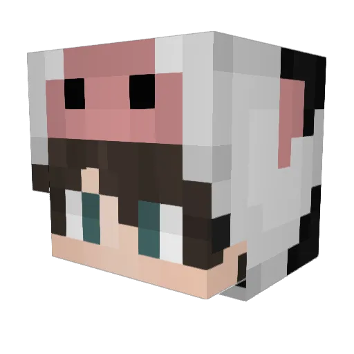 Olin85 Minecraft avatar head, 3D render