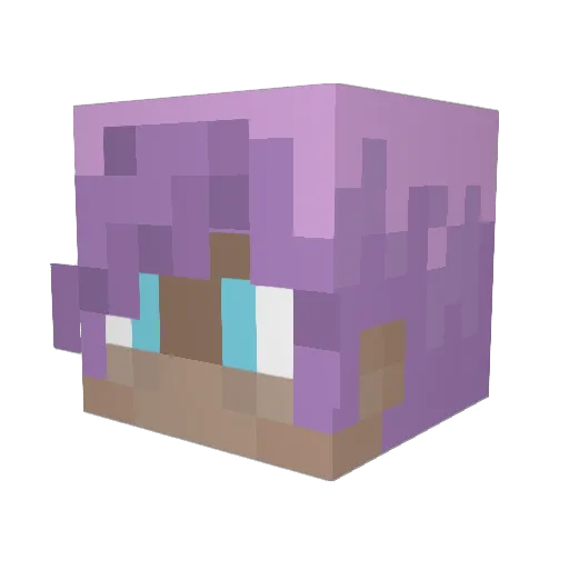 Olipop981 Minecraft avatar head, 3D render