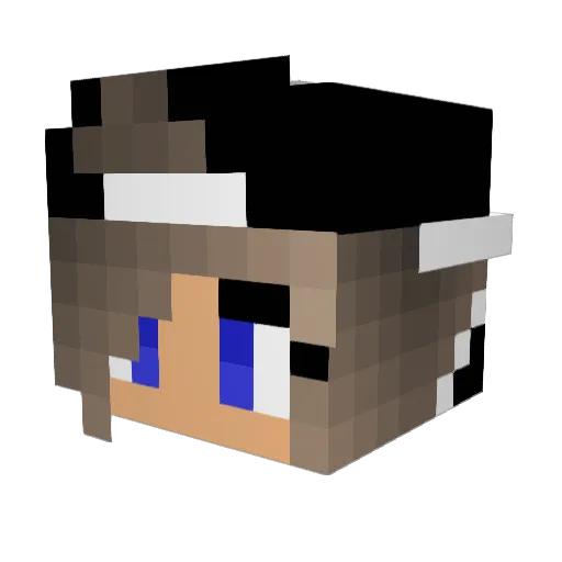 Olistar2010 Minecraft avatar head, 3D render