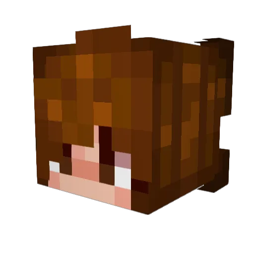 Oliv35 Minecraft avatar head, 3D render