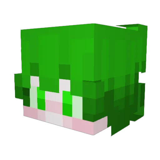 OlivePolecat143 Minecraft avatar head, 3D render