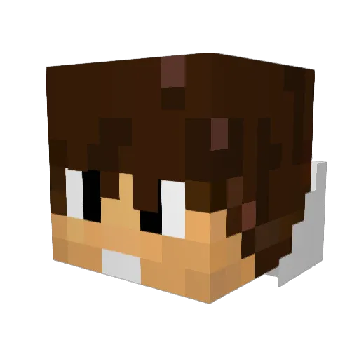 Oliveira2004g Minecraft avatar head, 3D render