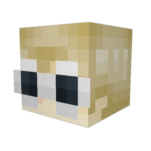 OlivenJonny Minecraft avatar head, 3D render