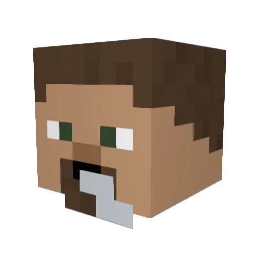 OliversJansons Minecraft avatar head, 3D render