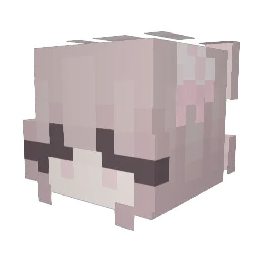 Olivyaa_ Minecraft avatar head, 3D render