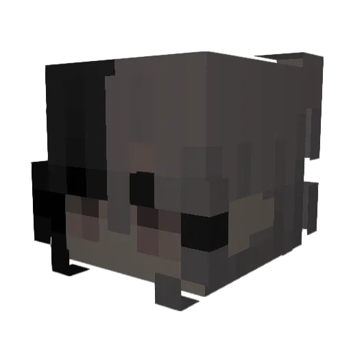 Oliwejras Minecraft avatar head, 3D render