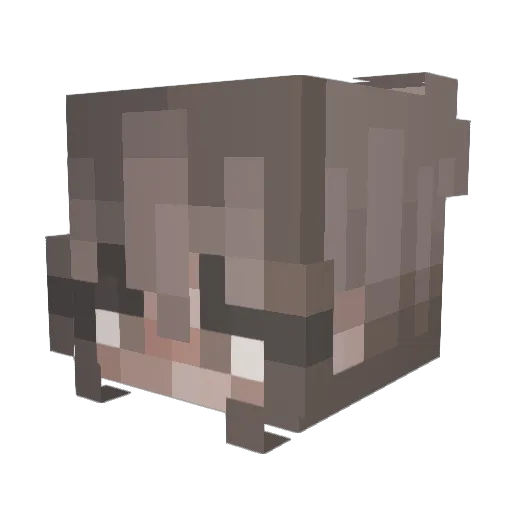 OliwiaB Minecraft avatar head, 3D render