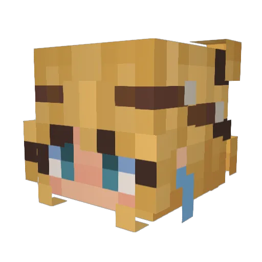 OliwiaIsNotFit Minecraft avatar head, 3D render