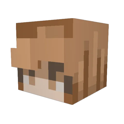 Oliwiagirl Minecraft avatar head, 3D render