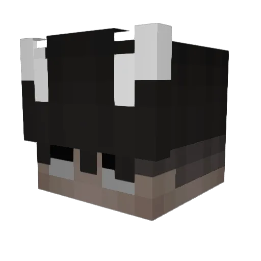 Oliwier228 Minecraft avatar head, 3D render
