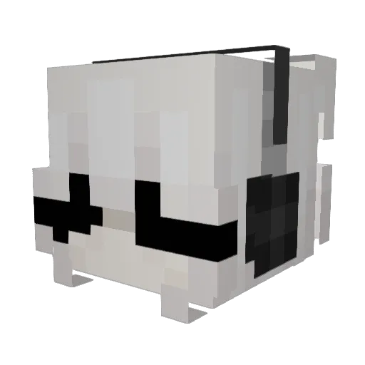 Oliwqqa Minecraft avatar head, 3D render