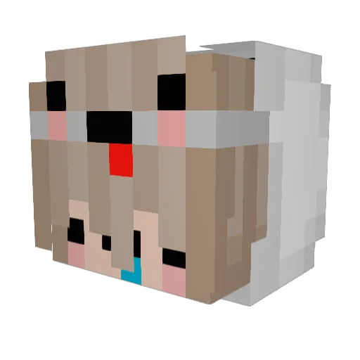 OllerSchmoller1 Minecraft avatar head, 3D render