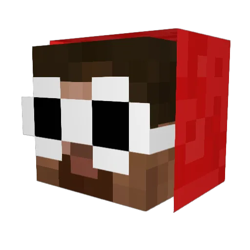 Olli0711 Minecraft avatar head, 3D render