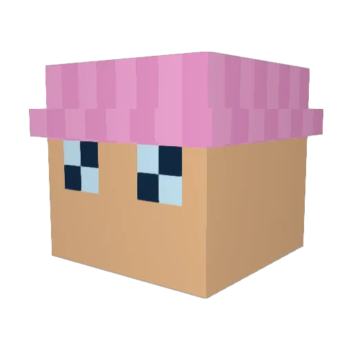Olli3smash11 Minecraft avatar head, 3D render