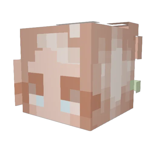 Ollie_kat Minecraft avatar head, 3D render