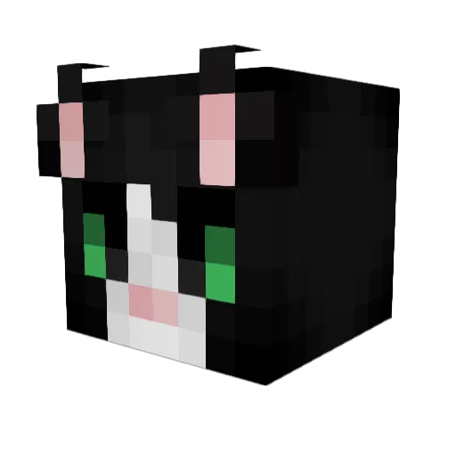 Olloloc Minecraft avatar head, 3D render